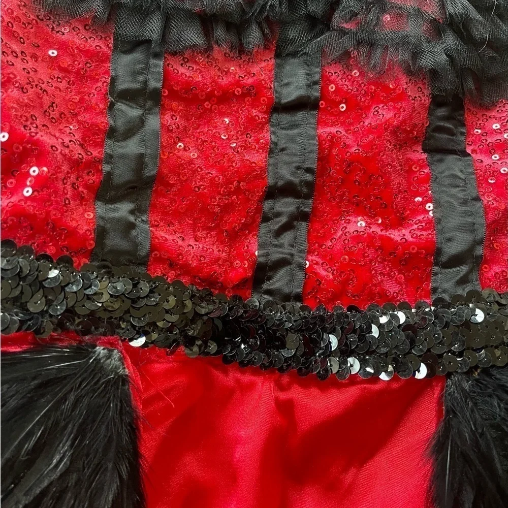 Balera Sequin Plush Charmeuse Dress Custom Dance Costume
